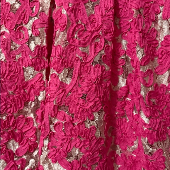 Yoana Baraschi Anthropology Fit and Flare Dress. Mesh with Pink Ribbon Overlay. - Picture 6 of 16